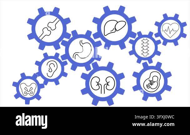 Interconnected gears with human organ icons, concept of integrated ...