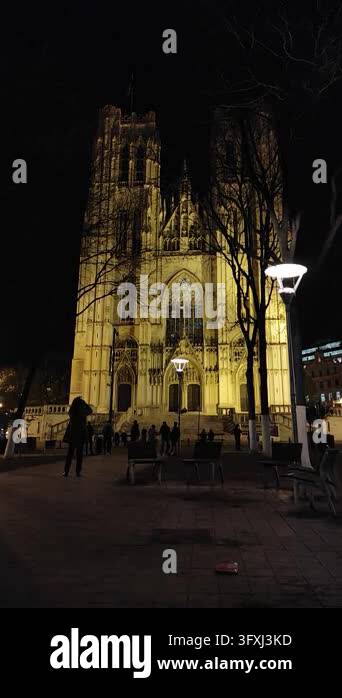 Vector Mike Old Brussels Belgium travel St Michael and St Gudula Cathedral old church ...