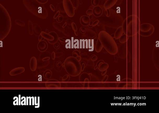 red blood cells. 3 d rendering Stock Video Footage - Alamy