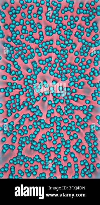 Psychedelic microscopic cells dividing and shifting colors with radial ...