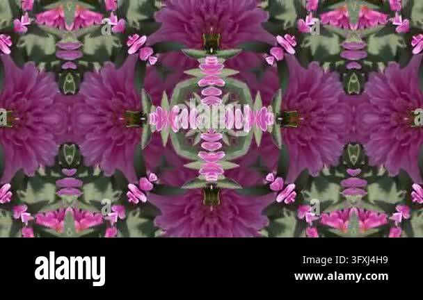 Beautiful Pink Flower Kaleidoscope Abstract Motion Background Loop ...