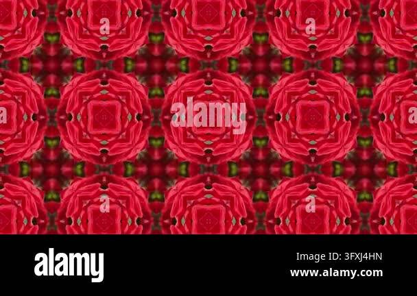 Red Rose Kaleidoscope Abstract Motion Loop Background Video Stock Video ...