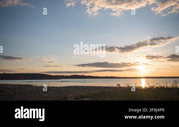 a beautiful sunset over a lake with a tree in front of it, it is ...