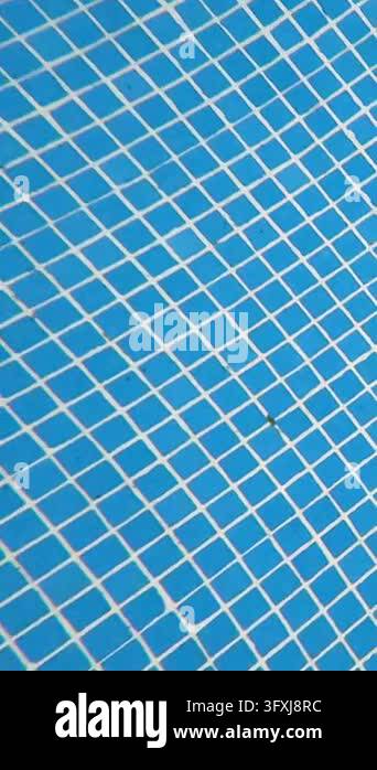 Underwater tracking shot travelling across hundreds of small tiles ...