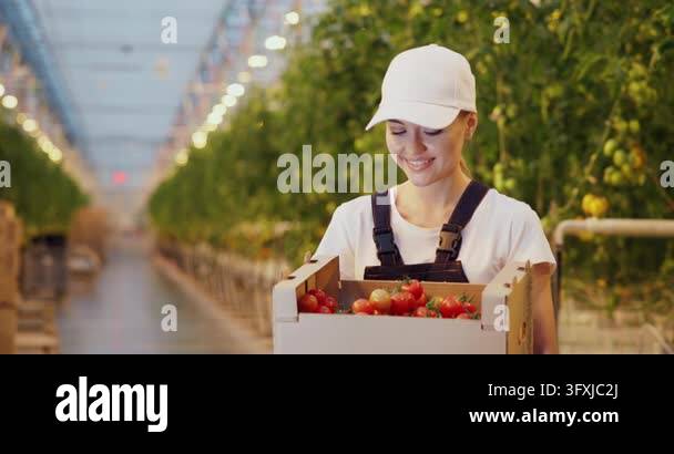 Portrait of a proud female greenhouse worker holding a box of freshly ...