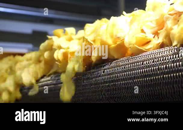 Close-up of freshly baked potato chips leaving an industrial oven and ...