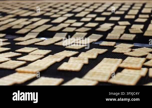 Close-up of rectangular crackers moving in rows along a conveyor belt ...