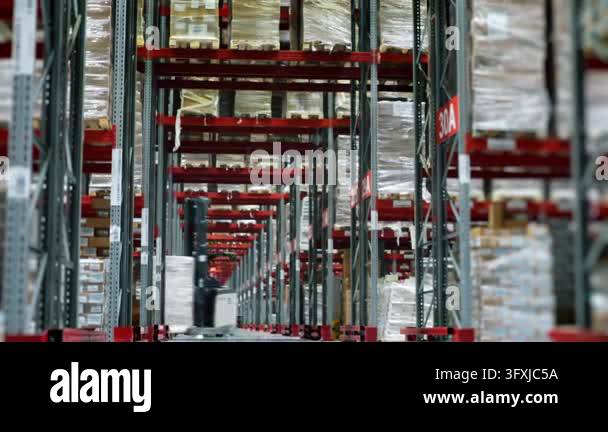 Three Large Warehouse Vector Workers operate forklifts inside a large logistics warehouse with tall ...