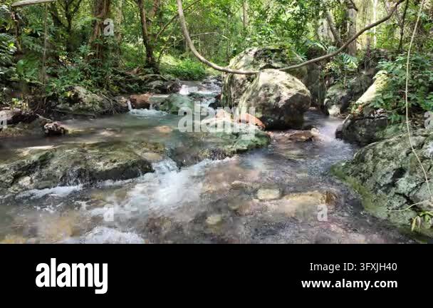 Clean natural stream flowing over rocks in tropical forest. Static wide ...