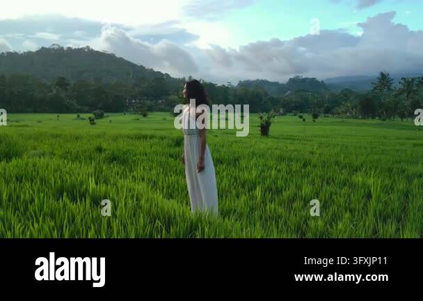 A young woman in a flowing white dress stands amidst lush green rice ...