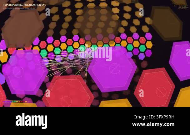 Educational animation of stomatopod hyperspectral polarization eye ...