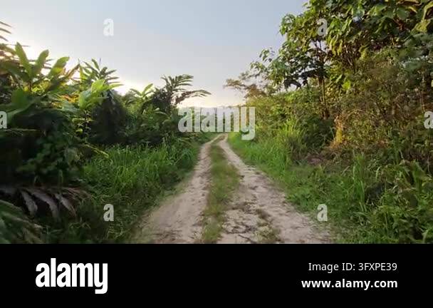 A cinematic POV tracking shot moving forward along a rural dirt road in ...