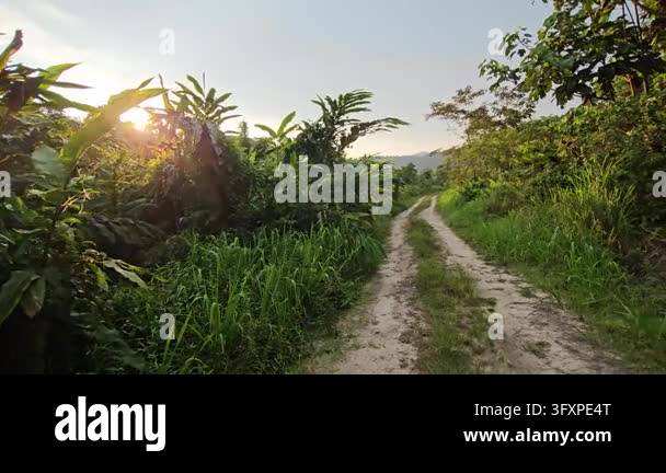A cinematic lateral tracking shot moving left to right along a rural ...