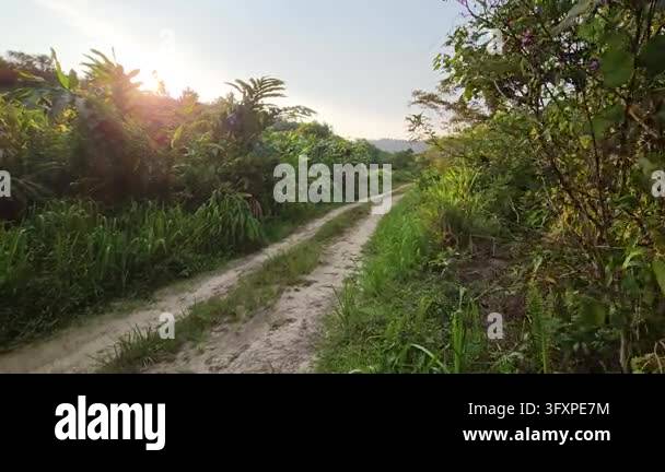 A cinematic lateral tracking shot across a rural dirt road in a ...