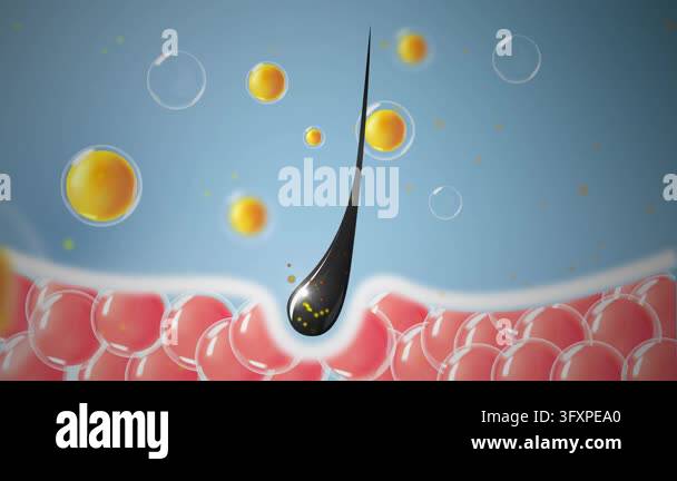 3D hair follicle growing from skin surrounded by glowing nutrient ...