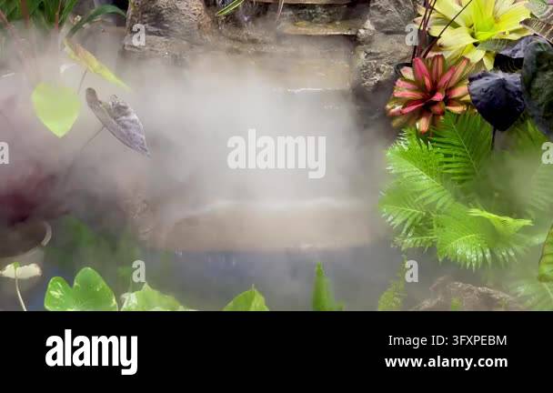 Waterfall Files Waterfall in tropical garden Stock Video Footage - Alamy