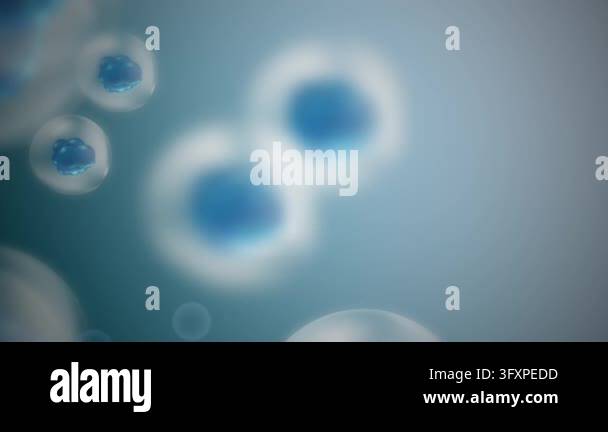 3d Cell Backround 3D embryonic cells dividing and developing in a microscopic environment ...