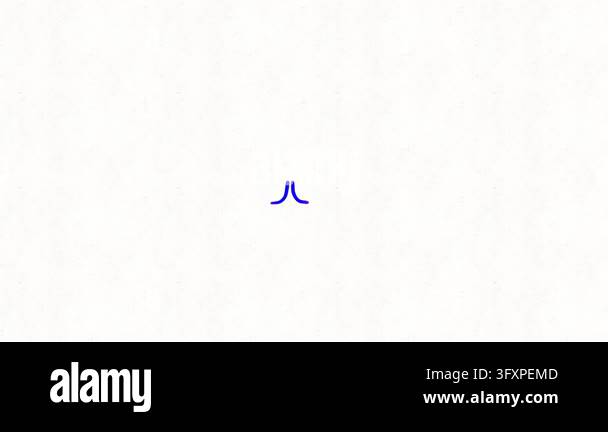 Set of modern digital stock icons and animated vector motion graphics ...