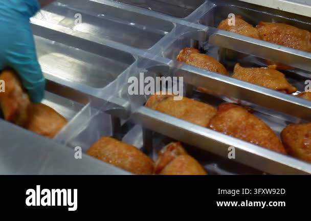 Factory Work Vector Smoked chicken placing plastic tray vacuum packaging machine, gloved ...