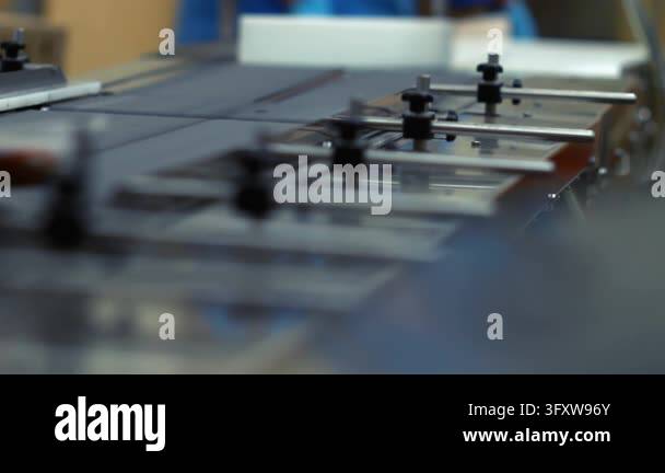 Packaged smoked chicken moving automated sealing machine meat ...