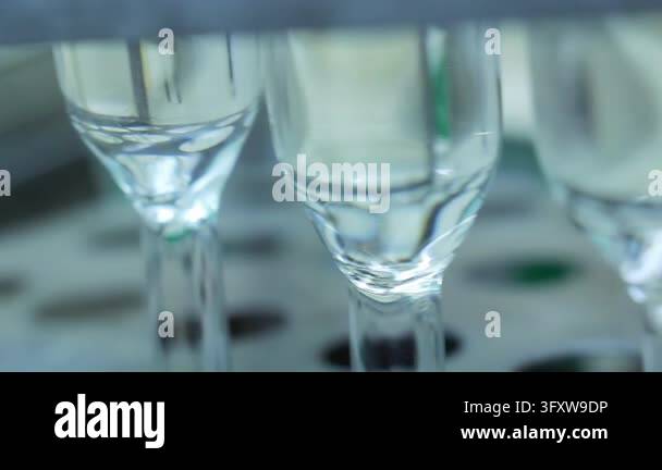 Quality Sign Transparent Background Laboratory glassware row clear liquid samples rack, close up handheld ...