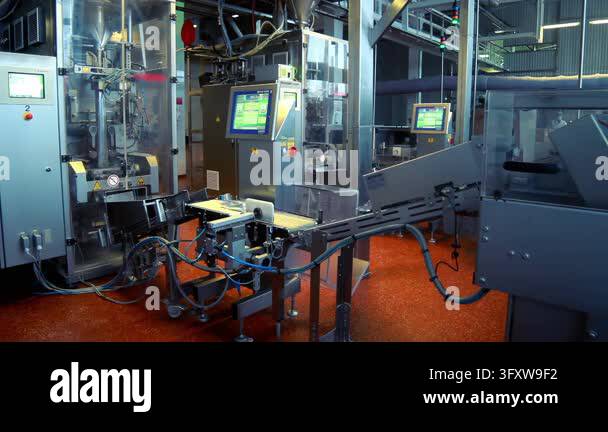 Vertical Line Panel Plant interior vertical packing machines, checkweigher weighing packets ...