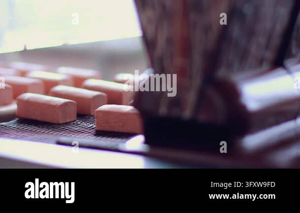 Unglazed dessert bars moving toward chocolate glazing machine automated ...