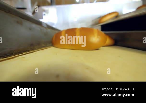 Golden baked loaf moving conveyor belt low angle closeup food factory ...