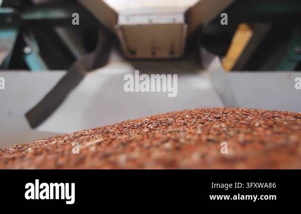 Lining Alpha Texture Brown linseed pile growing under hopper closeup, low angle surface ...
