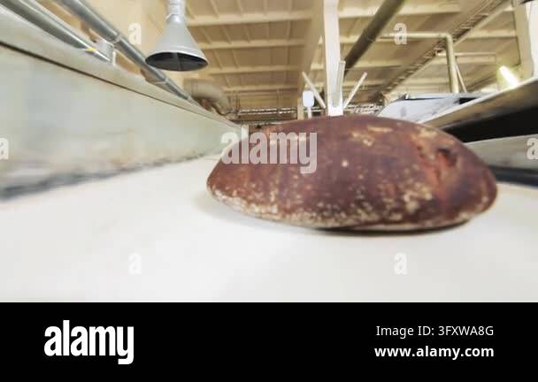 Round loaf traveling bakery production line close up, low angle ...