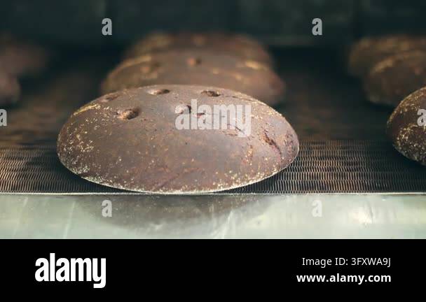 Fresh baked rye bread moving conveyor belt industrial bakery closeup ...