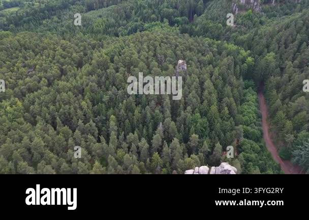 Pinnacle Roc Drone glides over dense pine forest, broad green canopy, rugged rock ...