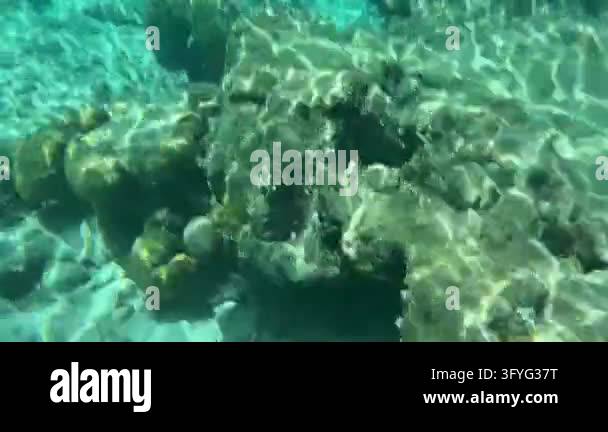 Quality Sign Transparent Background Crystal Clear Lagoon Water Over Coral Rocks. High quality 4k ...