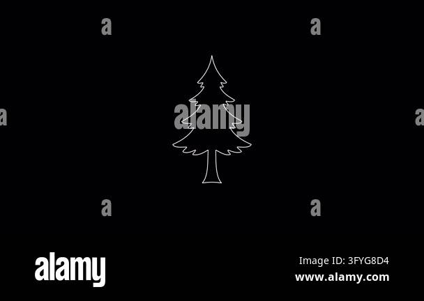 Animated white outline of a pine tree drawing itself on a black ...