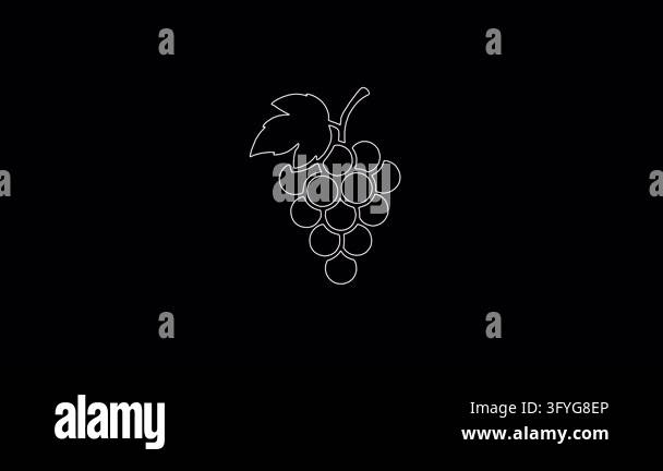Animated drawing of a bunch of grapes with a leaf. The continuous white ...