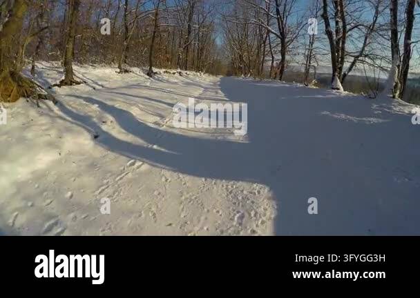 First person perspective walking along a serene, snow covered path in a ...