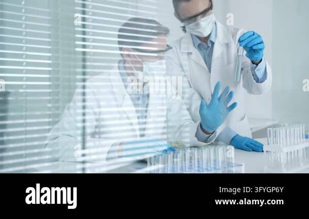 Scientists working in a modern laboratory, performing research and ...