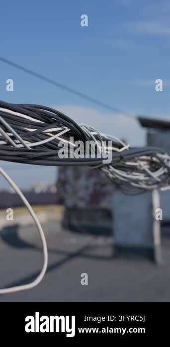 Bundled data communication cables stretch across an urban rooftop ...