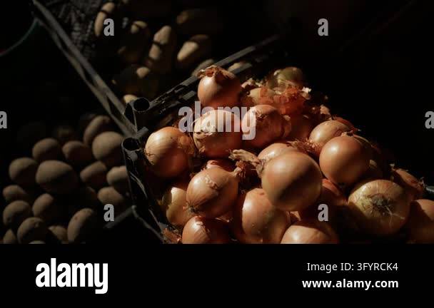 Fresh yellow onions are displayed in plastic crates at an outdoor ...