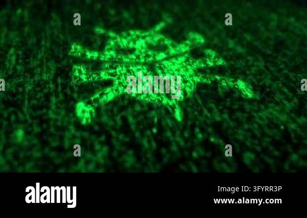 Computer bug cyber attack and security error symbol matrix style ...