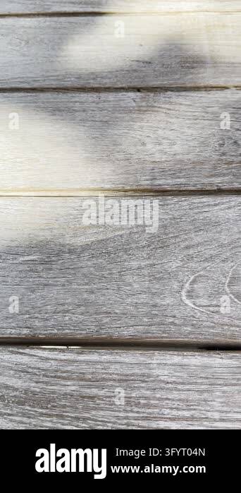 Vertical video of soft organic shadows across distressed painted wood ...
