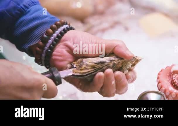 Hands hold an oyster above a chilled seafood counter and work a short ...
