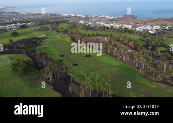 Aerial drone view of golf course fairways lined with palm trees with a ...