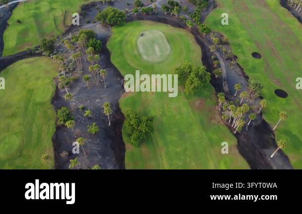Aerial drone view of a putting green surrounded by palm trees and dark ...