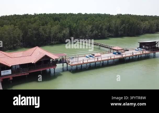 An aerial view of a tropical mangrove island featuring waterfront ...