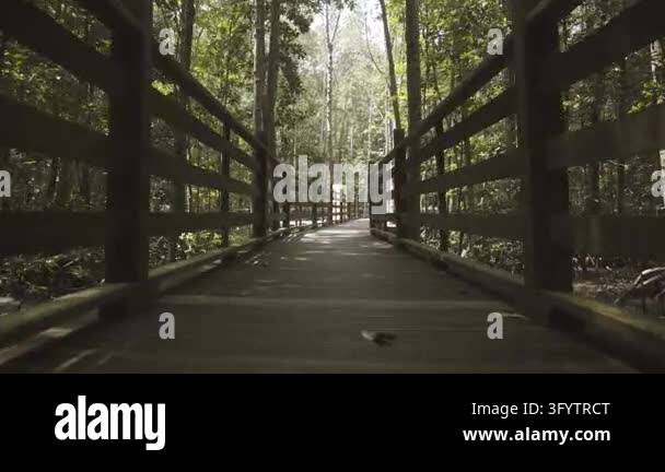 A symmetrical wooden walkway with dark timber railings leads through a ...