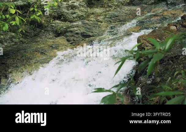 A small cascade runs over a rocky streambed surrounded by tropical ...