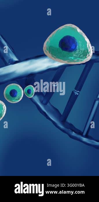 Animation of human body cells and dna strand on blue background. Global ...