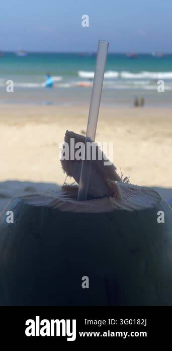 Low closeup of freshly opened young coconut with torn fibrous husk and ...