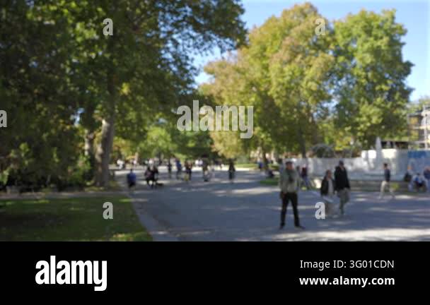 Sunny autumn view of people strolling and waiting beneath tall trees in ...